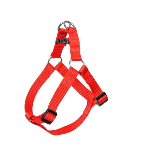 M&amp;amp;J TRADE DOO DV 073 AM za pse XL crveni Slike
