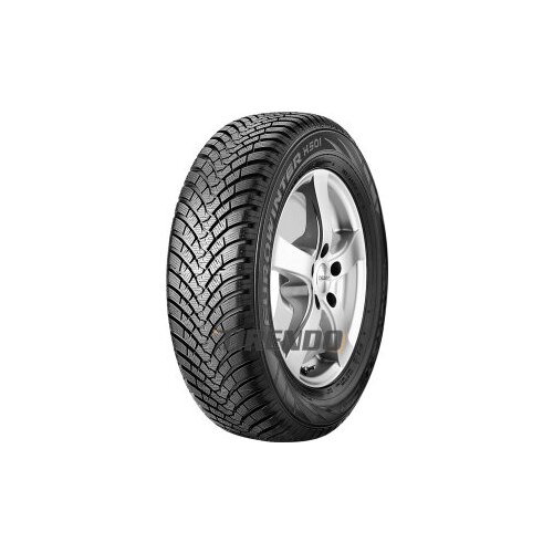 Falken EUROWINTER HS01 RUNFLAT ( 255/40 R19 96V, runflat DOT2021 ) Slike