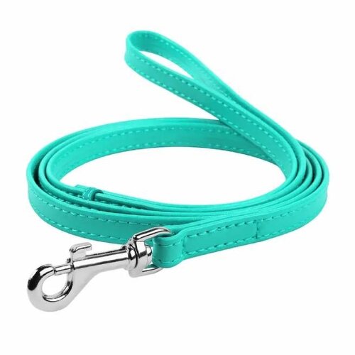 CLR WD Mint A2202740-Povodac za pse 12mm / 122cm Cene