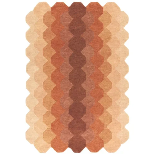 Asiatic Carpets Opečnato oranžna volnena preproga 120x170 cm Hive –