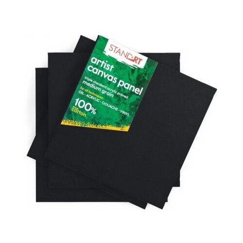 Professional standart panel canvas crna - odaberite dimenziju 20 x 25cm ( 602363 ) Cene