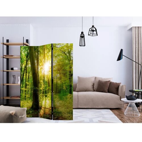  Paravan - Forest Rays 135x172 Cene