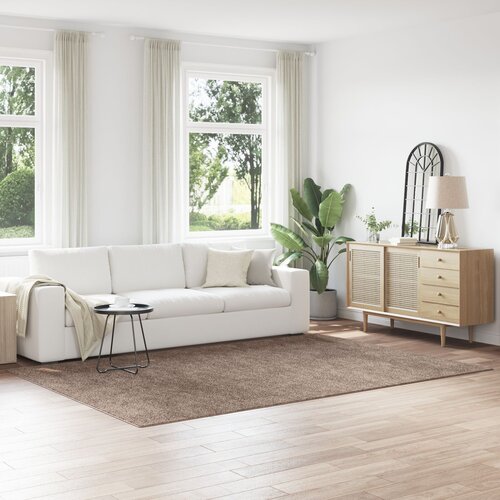 vidaXL Preproga Rjava Polipropilen 200 x 290 cm Vzorec Preproga Cene