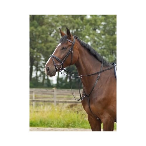 Busse Martingale BASIC-PRO Slike