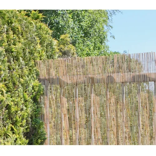 Garden Pleasure Balkonski paravan iz protja v naravni barvi 300x200 cm -