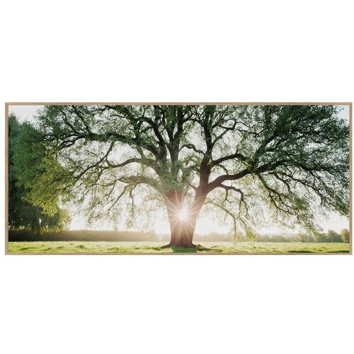 Knor Slika 150x60 cm Tree in the Sun &amp;ndash; Slike