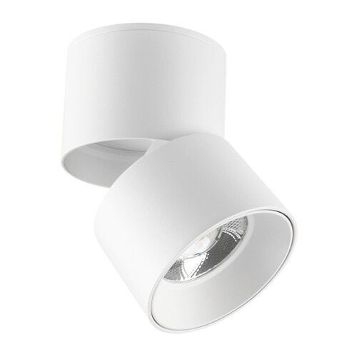 Vito Lampa LED spot 10W 4000K LAZY-10 2102890 bijela Slike