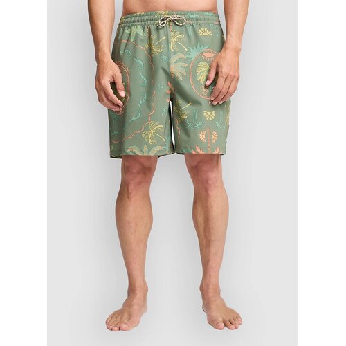 Billabong Wasted Times Kratke hlace moss green Cene