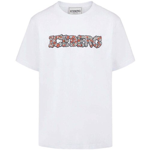 Iceberg Bijela Slike