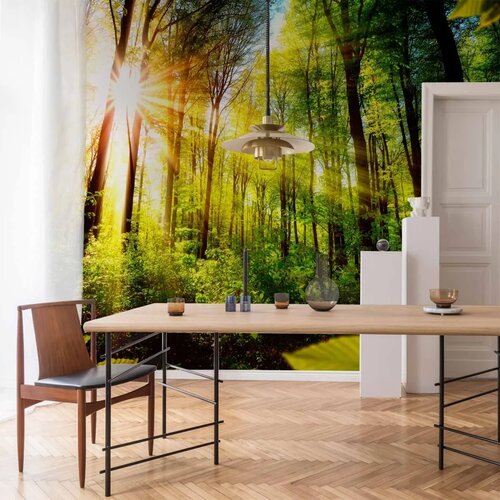  Foto tapeta - Forest Hideout 147x105 Slike