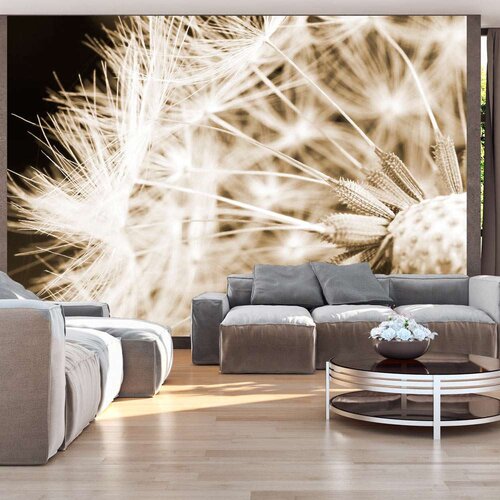  Tapeta - Dandelion - sepia 100x70 Slike