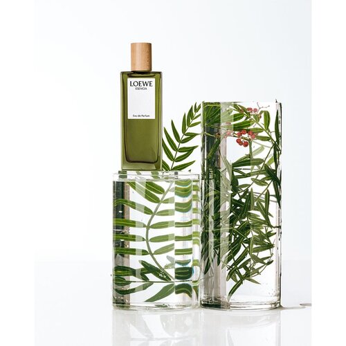 Loewe Esencia parfumska voda za mo&amp;scaron;ke 100 ml Slike
