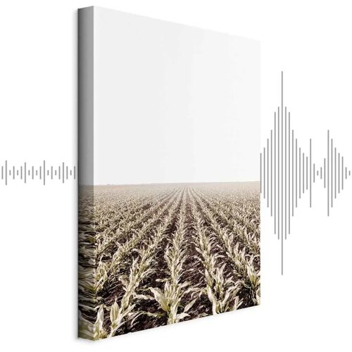  Slika - Corn Field (1 Part) Vertical 80x120 Akustična Cijene