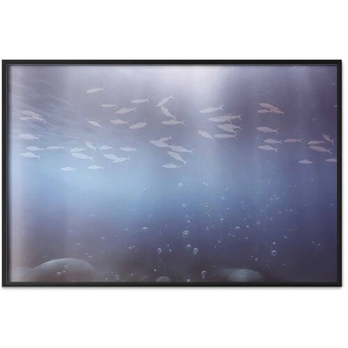  Plakat - Fish in the Depths 60x40 Crni okvir Cene