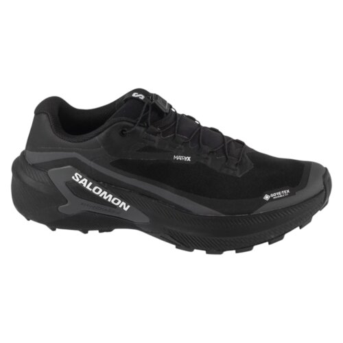 Salomon genesis 2 gtx l49300300 Slike