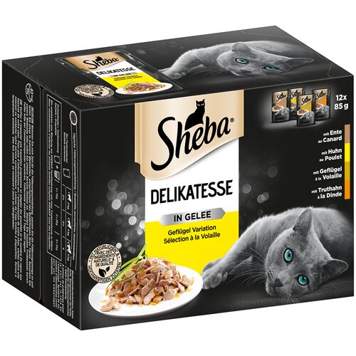 Sheba Mega pakiranje različice v vrečkah 48 x 85 g - Delikatesse v želeju različice perutnine Slike