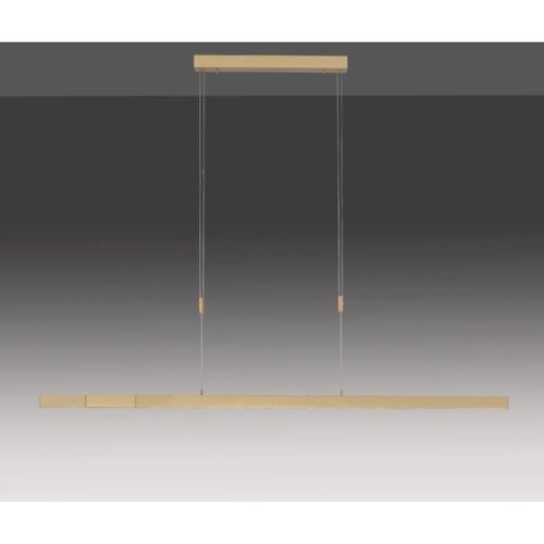 PAUL NEUHAUS 2568-60 - led prigu&amp;scaron;iva luster na sajli adriana LED/14W/230V mesing Slike