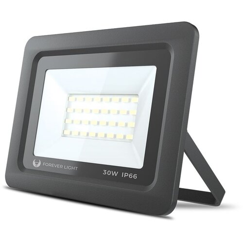 Forever led reflektor proxim ii 30W 6000K a+ Cene