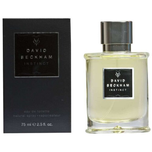 Parfem Instinct Toaletna voda za mo&scaron;ke 75 ml Cene