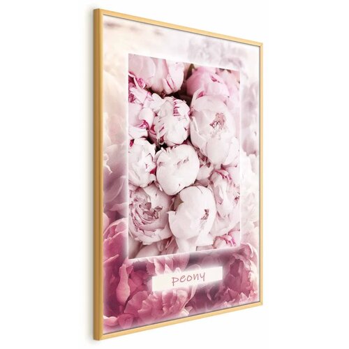  Plakat Spring Delicacy 29.7x42 Zlatni okvir Cene