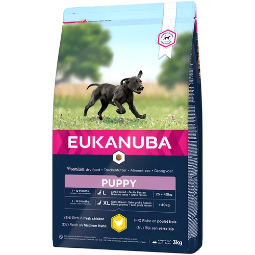 Eukanuba Puppy Large Breed piletina - 3 kg