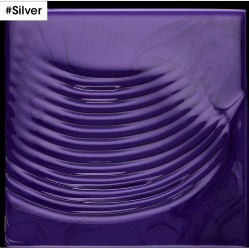 L&amp;acute;Or&amp;eacute;al Paris professionnel paris serie expert silver shampoo Slike