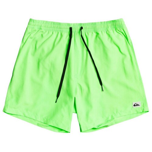 Quiksilver EVERYDAY VOLLEY 13 Swim Shorts