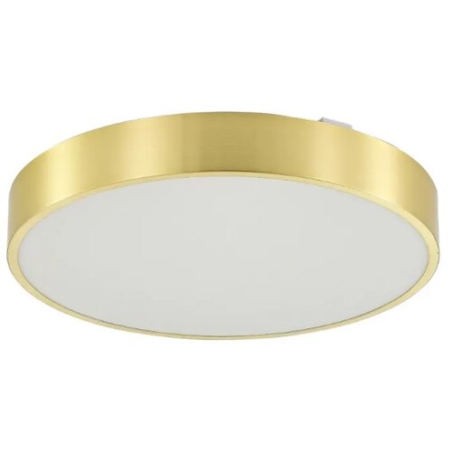 ZUMA LINE Poland LED plafonska svetiljka NADI zlatna R500 RGB CCT ZUMA LINE Cene