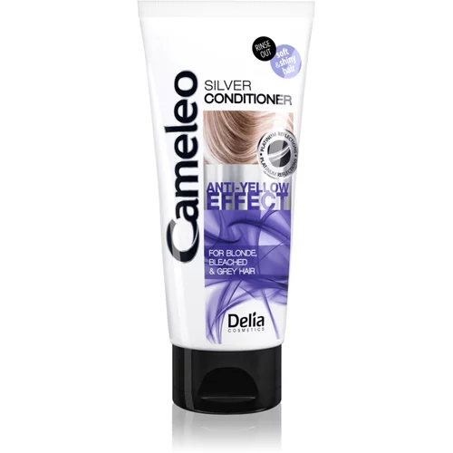 Delia Cosmetics Cameleo Silver regenerator za plavu i sijedu kosu neutralizirajući žuti tonovi 200 ml
