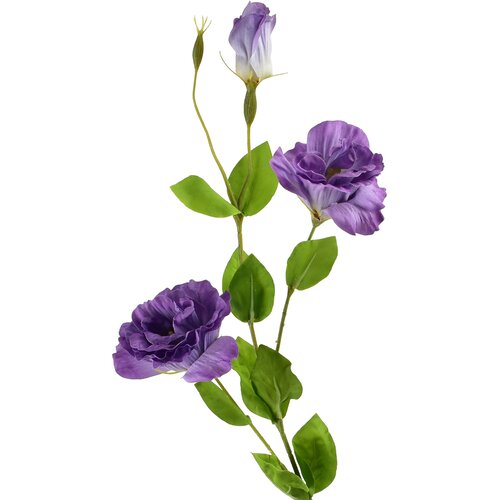 Mondex Umetna roža plastika Viridis Eustoma 70cm gumirana 1kos, (5000310801) Cene