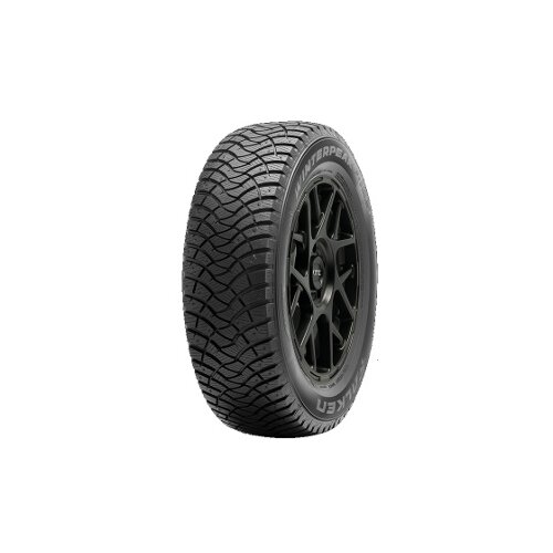 Falken WINTERPEAK F-ICE 1 ( 275/50 R20 113T XL, stavljenji spike-ovi ) Slike