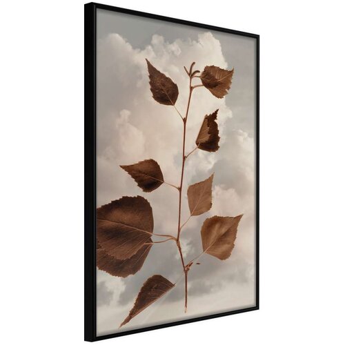  Poster - Leaves in the Clouds 30x45 Cene