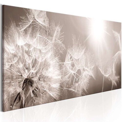  Slika - Summer Dandelions 150x50 Slike