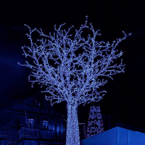  Božićne LED lampice 500 kom, plava Slike
