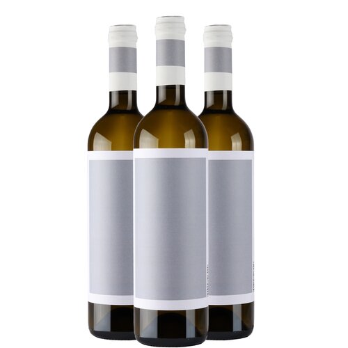 Vinarija Đurđić AKCIJA 2+1 Đurđić Traminac Slike