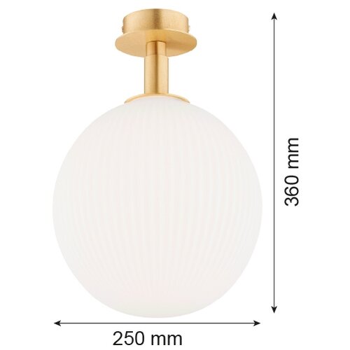  argon 8505 - plafonsko svetlo paloma 1xE27/15W/230V zlatna/bela Slike