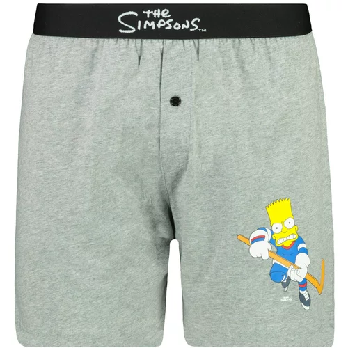 Character Men’s trunks The Simpsons - Frogies