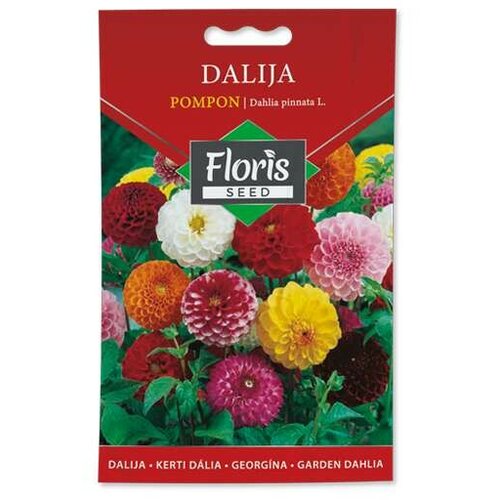 Floris dalija pompon 0,5g Cene