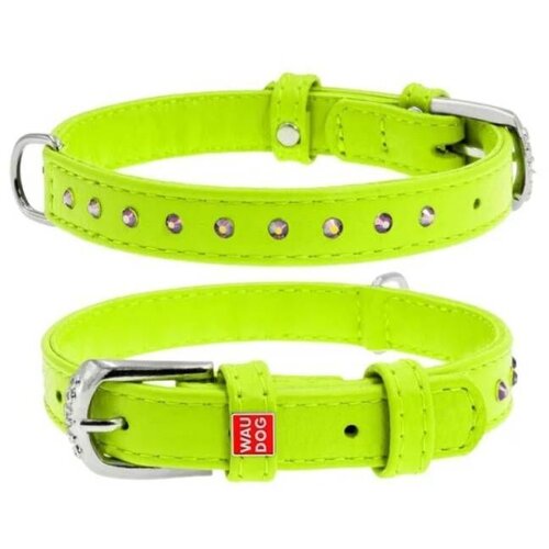 CLR WD 29 cm, Zelena A2202514-Ogrlica za pse 12 mm/21 Cene