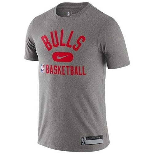Nike Majice s kratkimi rokavi Nba Chicago Bulls Siva Cene