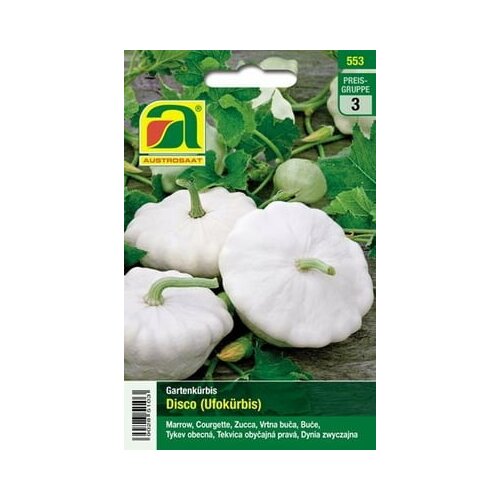 AUSTROSAAT Buča Custard White (Ufo) Cene