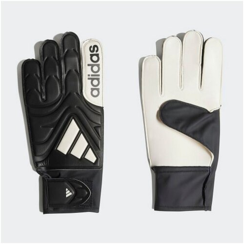 Adidas rukavice copa gl clb u Cene