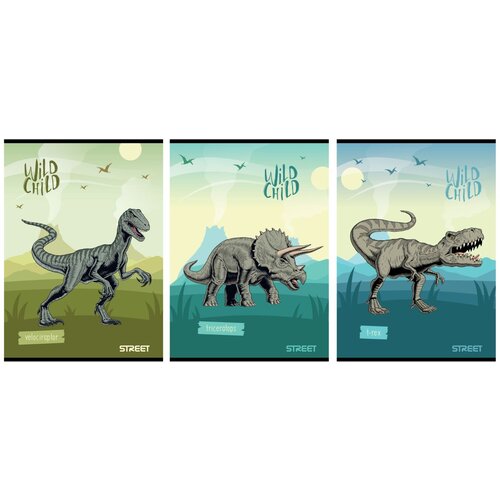 STREET zvezek dinosaurs A4 črte z robom 54l sort. Cene