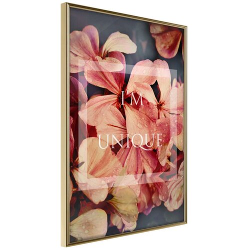  Poster - Believe It 40x60 Cijene
