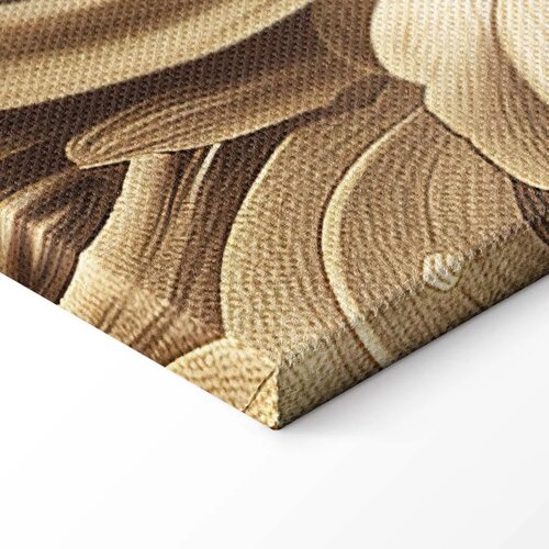 Slika - Carved Baroque Ornaments Rich Composition in Sepia Colors 60x40 Standard Slike