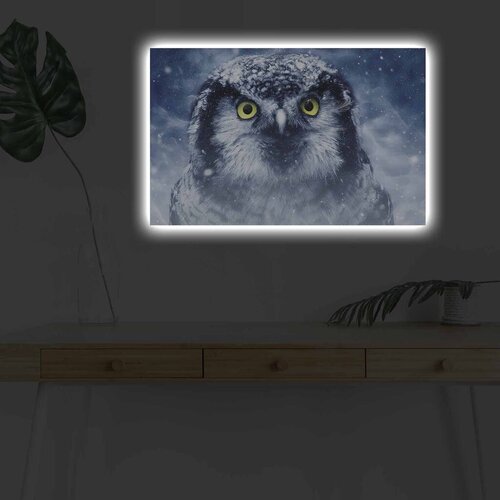 Wallity Slika sa LED osvetljenjem 4570DHDACT-070, 45x70 cm Cene
