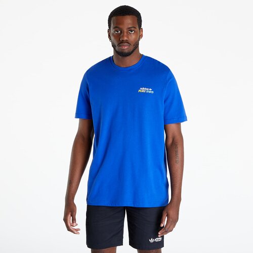 Adidas Majica 'Graphic Stoked Fish Flowers' modra / mešane barve Cene