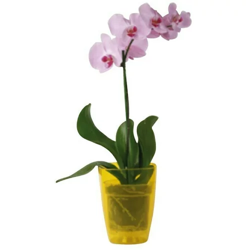  Tegla za orhideju (Plastika, Žute boje)
