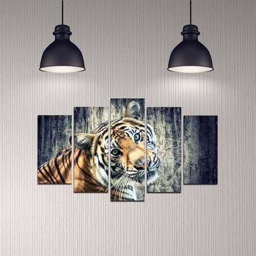 Wallity Set Slika 5DMDF-42, 5 Delova Cene