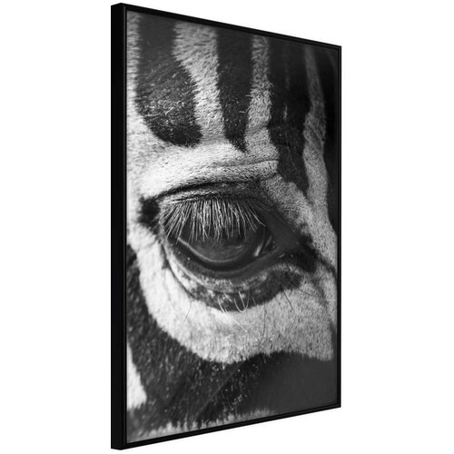 Poster - Zebra Is Watching You 20x30 Cijene
